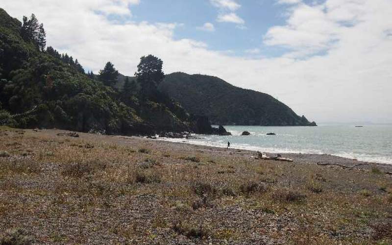 Rarangi Campsite | Freedom/Basic Camp | New Zealand